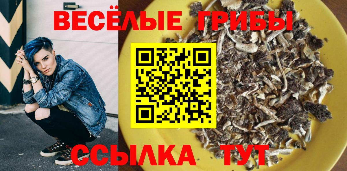 Галлюциногенные грибы Psilocybine cubensis Слободской