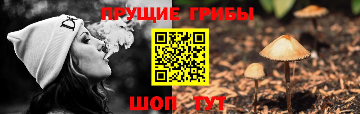 Слободской  Псилоцибиновые грибы MAGIC MUSHROOMS  Вход с VPN 